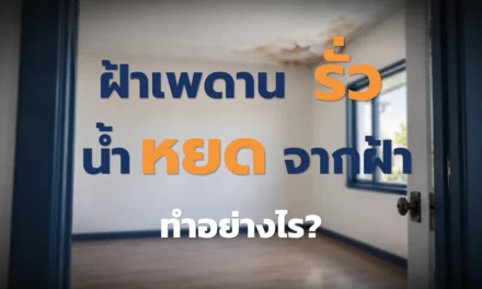 ฝ้าเพดานรั่ว น้ำหยดจากฝ้า ควรทำอย่างไร?