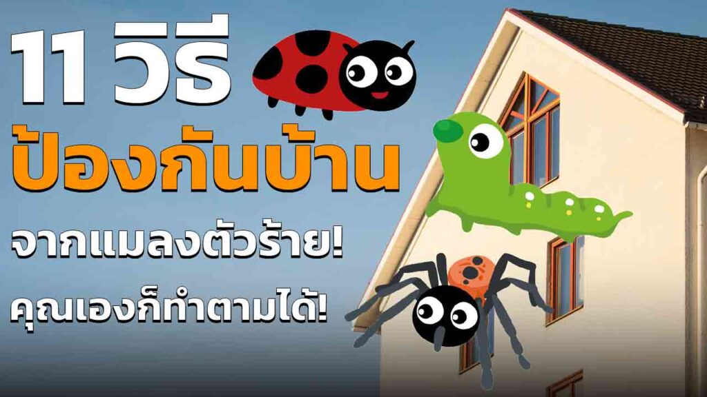 11 วิธี ป้องกันแมลงเข้าบ้าน ในหน้าฝน ทำตามได้ง่าย ๆ อัพเดต 2023