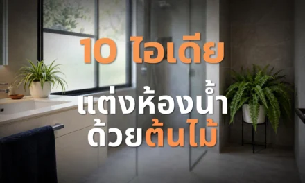 10 ไอเดียแต่งห้องน้ำด้วยต้นไม้ เลือกมุมให้เลี้ยงรอด