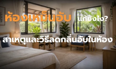 ห้องเหม็นอับ แก้ให้ตรงจุด ตั้งแต่กลิ่นสะสมถึงความชื้น