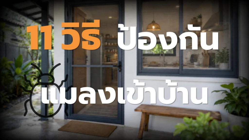 11 วิธีป้องกันแมลงเข้าบ้าน แก้ที่ทางเข้าและแหล่งสะสม