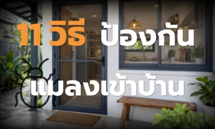 11 วิธีป้องกันแมลงเข้าบ้าน แก้ที่ทางเข้าและแหล่งสะสม