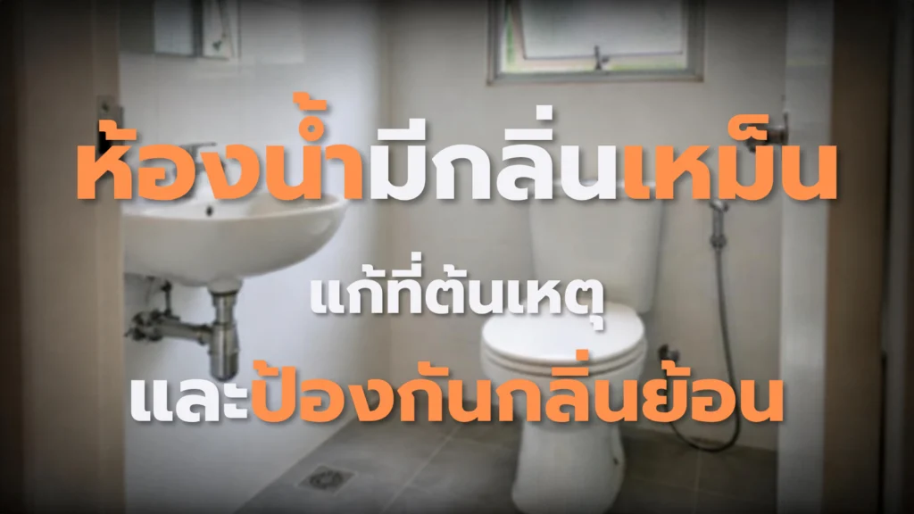 ห้องน้ำมีกลิ่นเหม็น แก้ที่ต้นเหตุและป้องกันกลิ่นย้อน