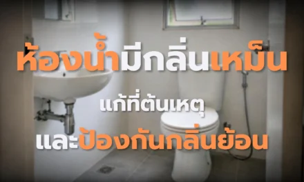 ห้องน้ำมีกลิ่นเหม็น แก้ที่ต้นเหตุและป้องกันกลิ่นย้อน