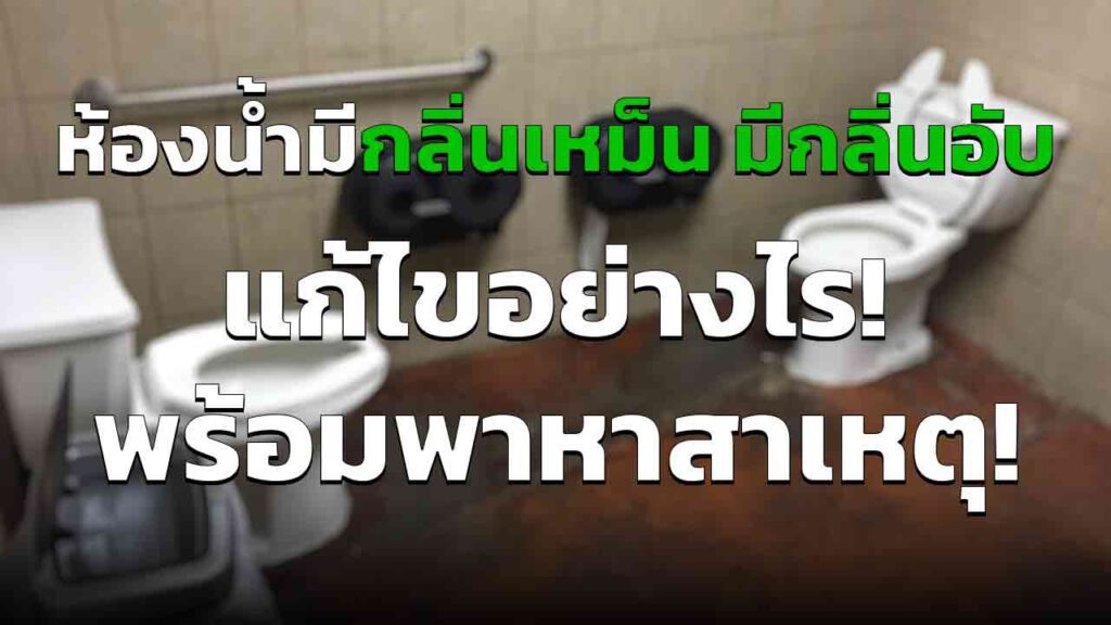ห้องน้ำมีกลิ่นเหม็น เกิดขึ้นได้อย่างไร แก้ไขอย่างไร 10 วิธีกำจัดกลิ่นเหม็นในห้องน้ำ