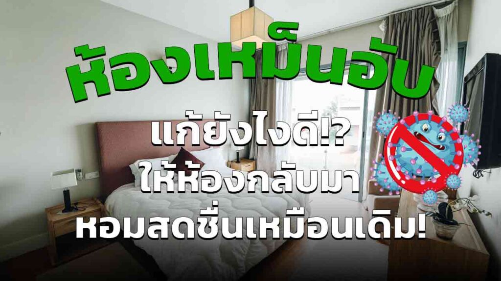 ห้องเหม็นอับ มีกลิ่น แก้ยังไง ให้ห้องกลับมาสดชื่น (อัพเดตใหม่ปี 2023)